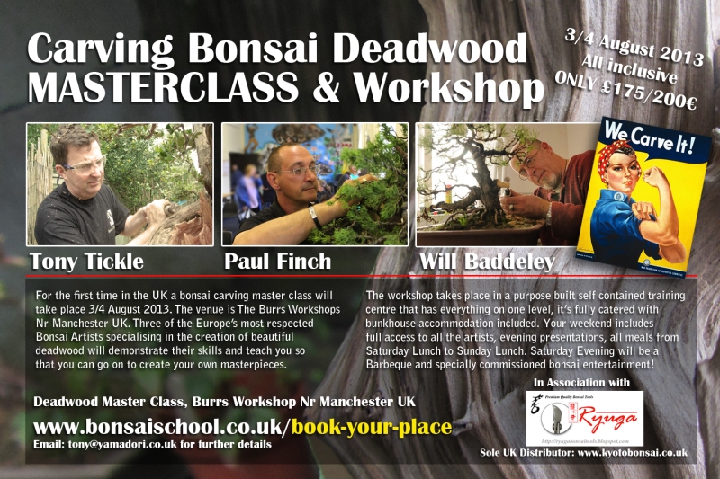 Carving Bonsai Masterclass and Workshop Poster-march-2013